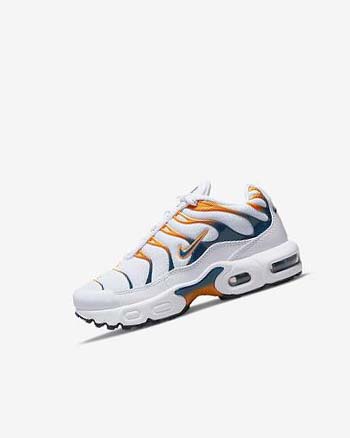 Nike Air Max Plus Blancos Negros | MX 5048